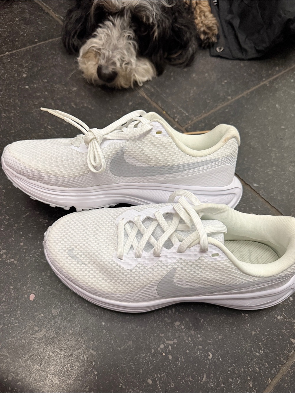 Nike All-White Mesh Running Shoes with Subtle Silver Swoosh